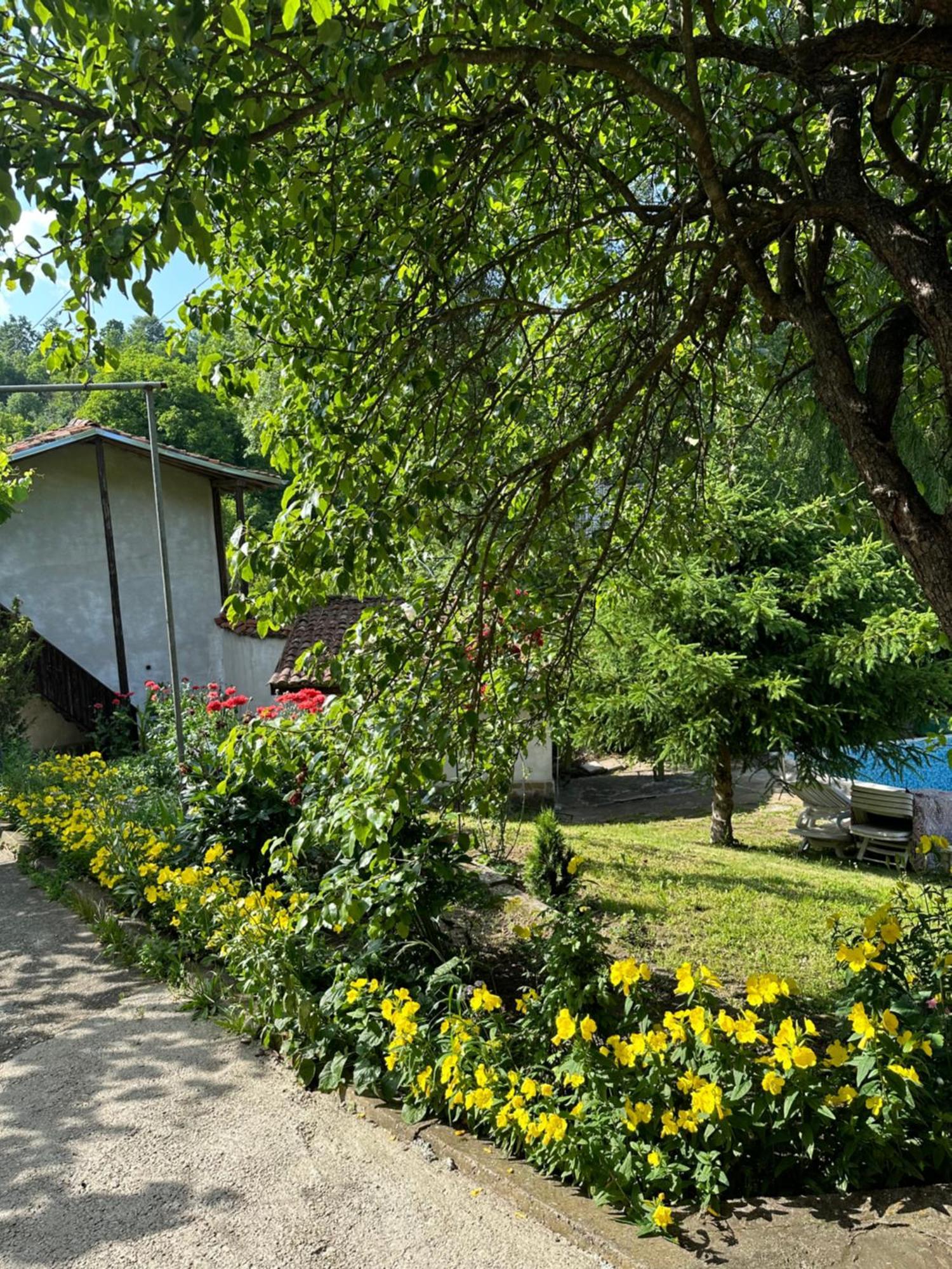 Вила Чевермето Palitsi Dış mekan fotoğraf